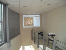 DSCF0491