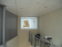DSCF0501