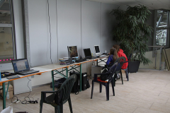 Bild 15
