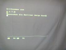 DVCI3298